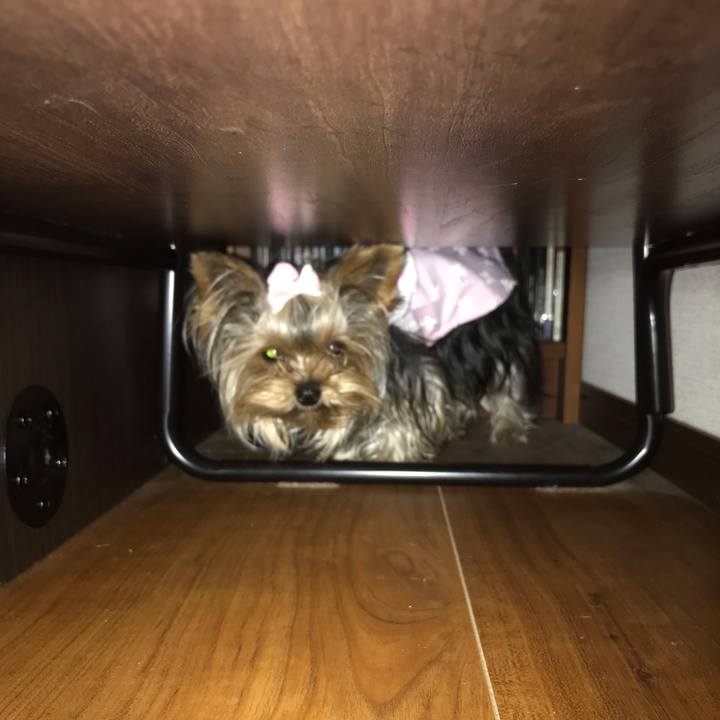 D5e46448 c00f 417c ad5c 957e7c71d55a 1659615241562