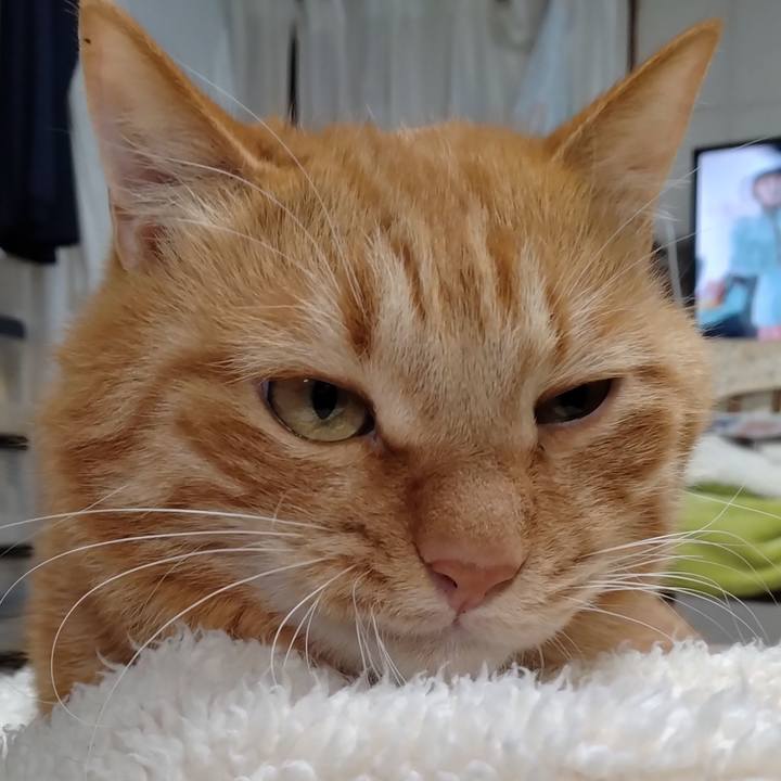 D5e46b55 5cb3 473e bd49 1664fceb70ff 1701489214001