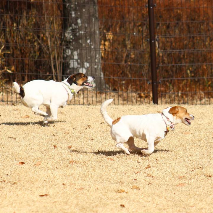 D5e472db 01f2 42f1 ad07 a528f212ff72 1548487714319