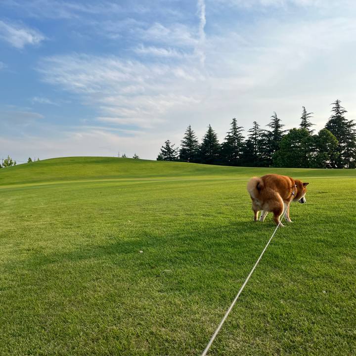 D5e4823f 7879 496c bf61 a6b98abf4b1e 1655678639171