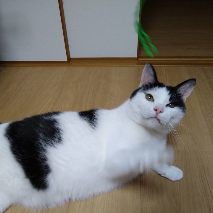 D5e4a114 50ae 4dc8 a568 4dcc23fdb6bb 1557314388327