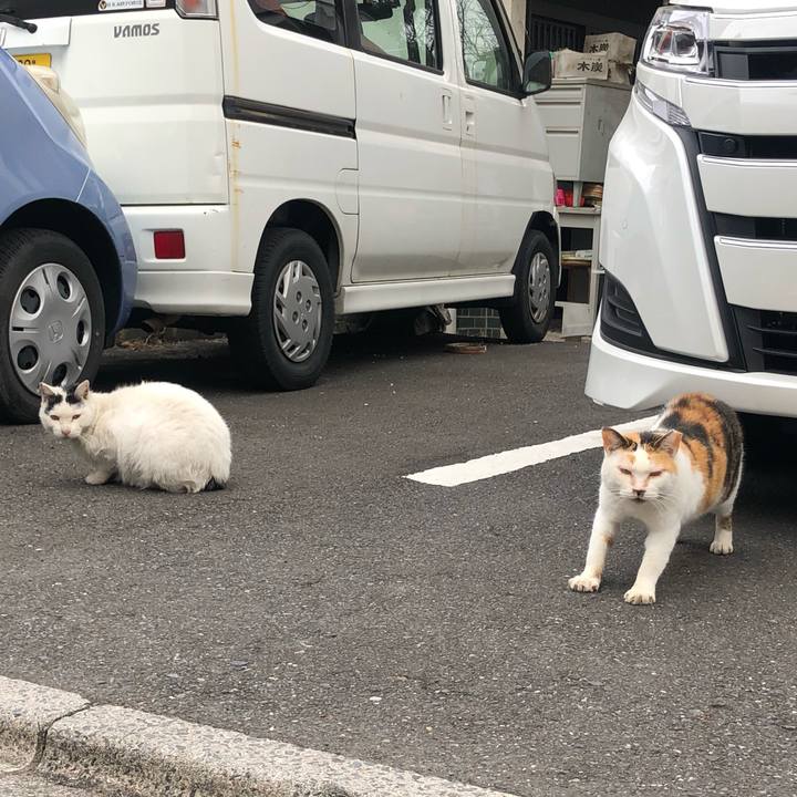 D5e4b7b5 f8d0 41c6 be42 be1f6fff66b4 1646732298541