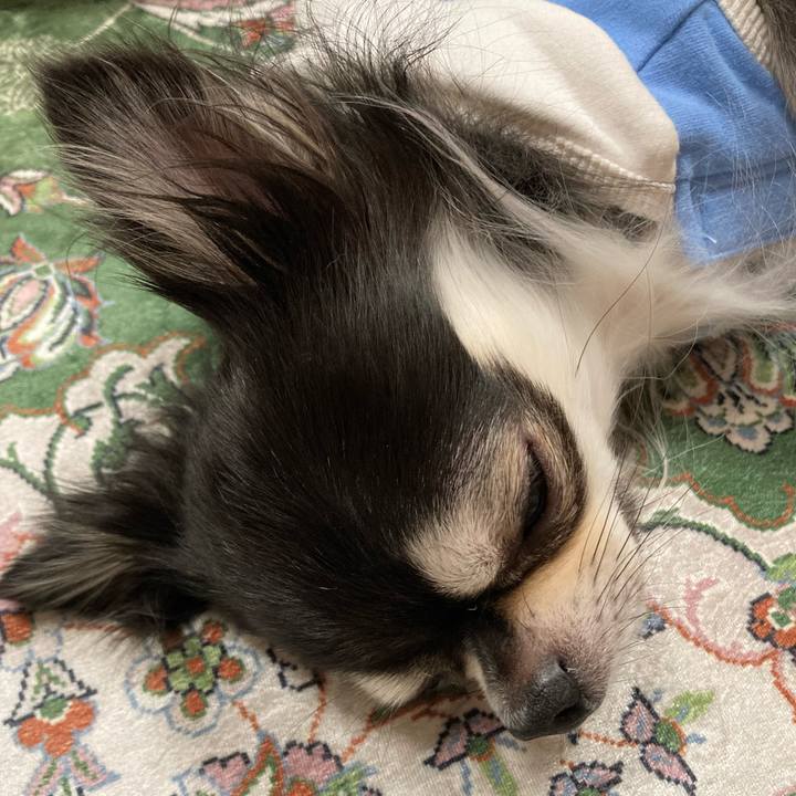 D5e4d20e 1da9 4b8f ba80 c40433021987 1668351160246