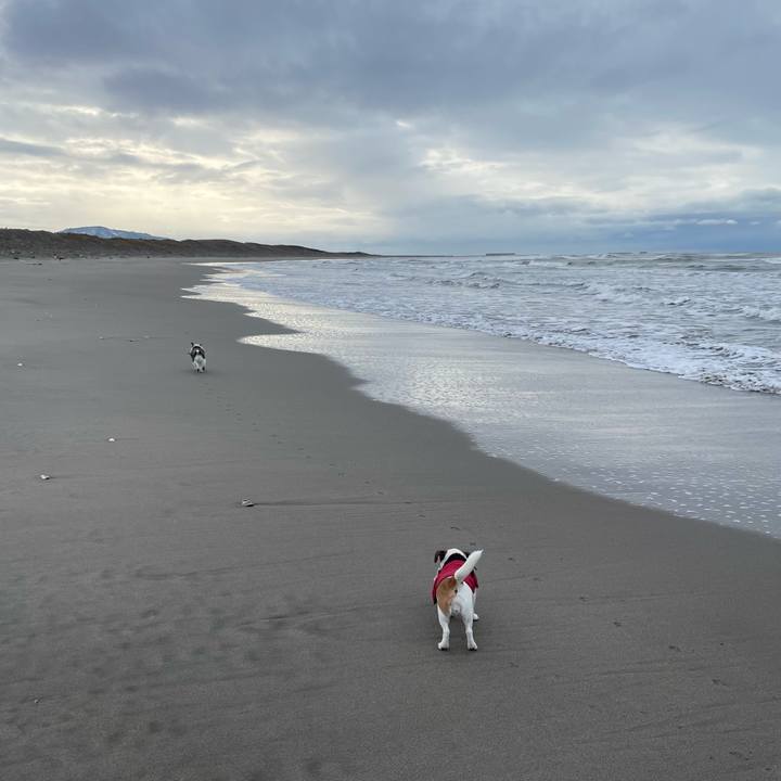 D5e4f101 2bbe 4536 b3f4 7bbf45294e58 1702971704473