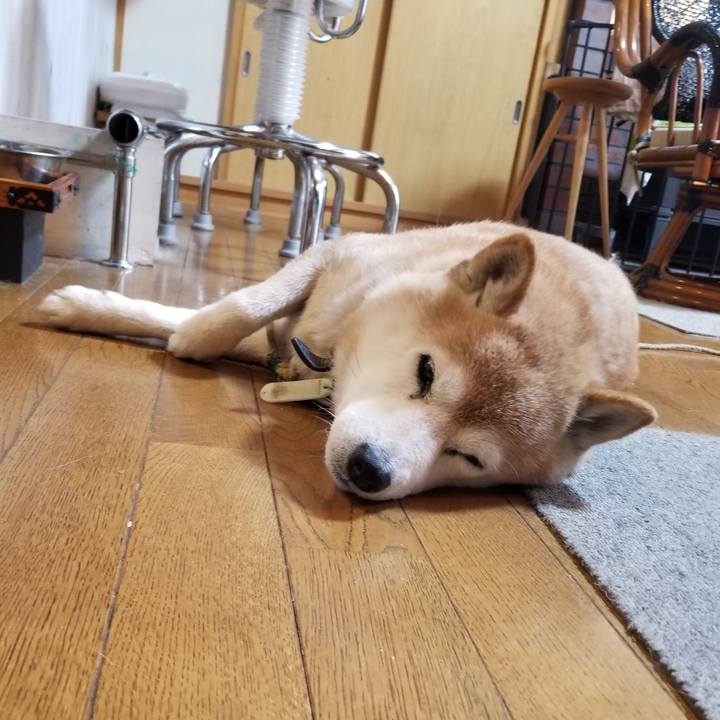 D5e5371c ea82 4ea2 8452 fc3f2d994782 1707007435193