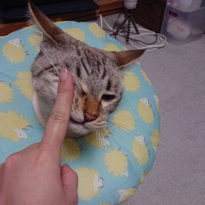 D5e57b4b 1baa 4402 8fed 83bc20a47dd5 1566307294711