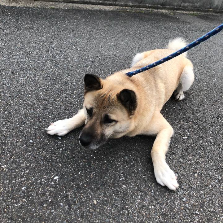 D5e57dad b35f 4ef4 810b f12ccce5f325 1586950906188