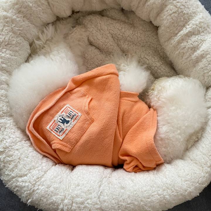 D5e585e0 f20b 40ed b759 0930ae079cd0 1634878493026