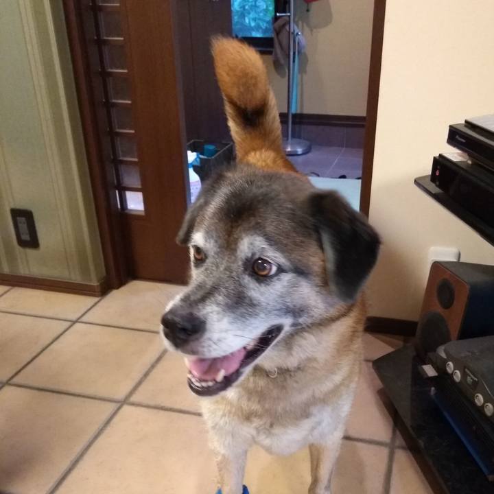 D5e59ede ccc1 4615 ba8b 27b45f8c1c73 1564568628563