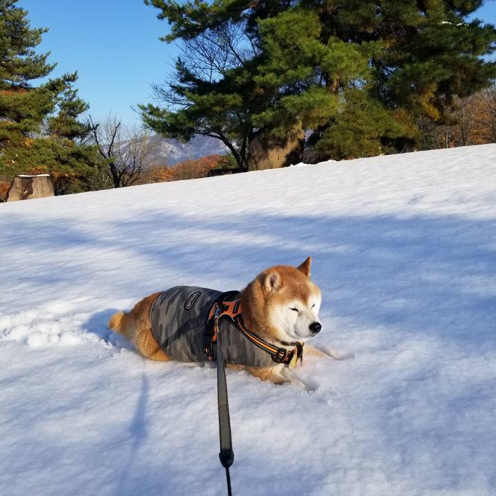 D5e5d484 df2e 482d 9b89 863e6f0859d8 1700978246266