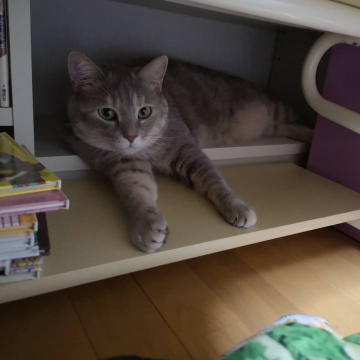 D5e5e2c7 ba50 4334 82c1 21b2691517f8 1596291243461