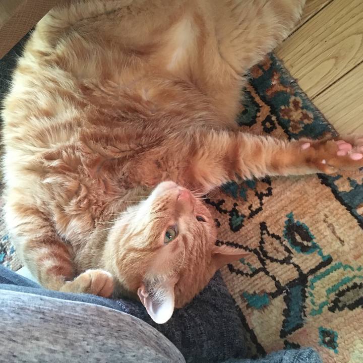 D5e5f3b6 7a29 482b 84e6 e835bd3b771e 1581808097707