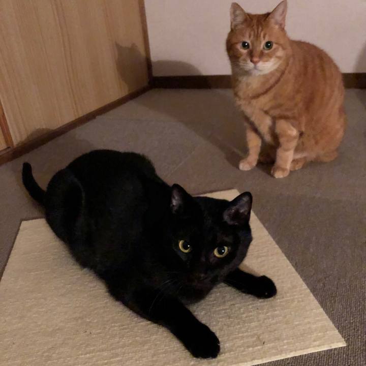 D5e5ff83 feaf 4c32 a26d 3deea58c614d 1677842067504