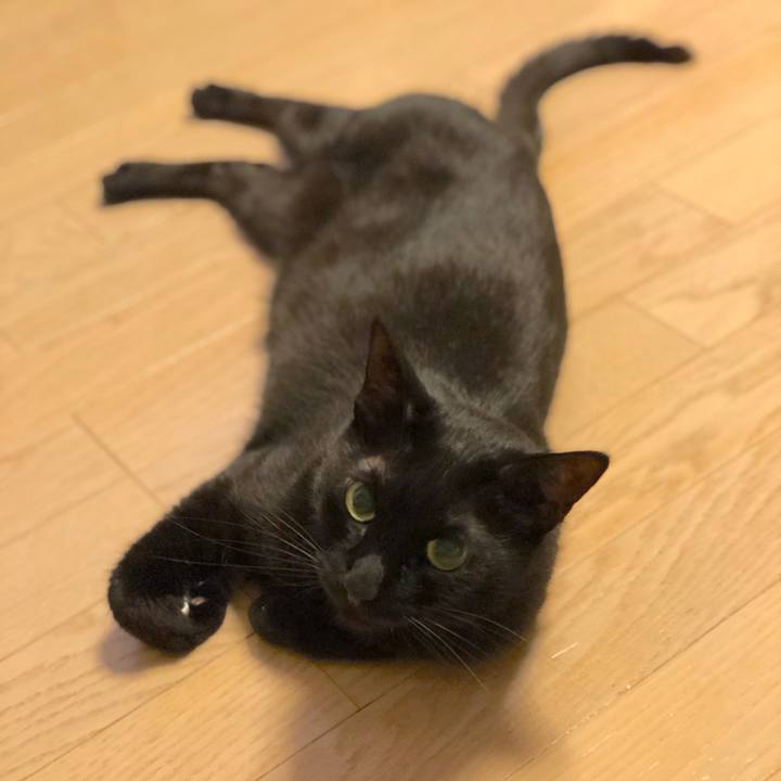 D5e601c4 1fa2 4792 a1f6 0a6abc132264 1527080862216