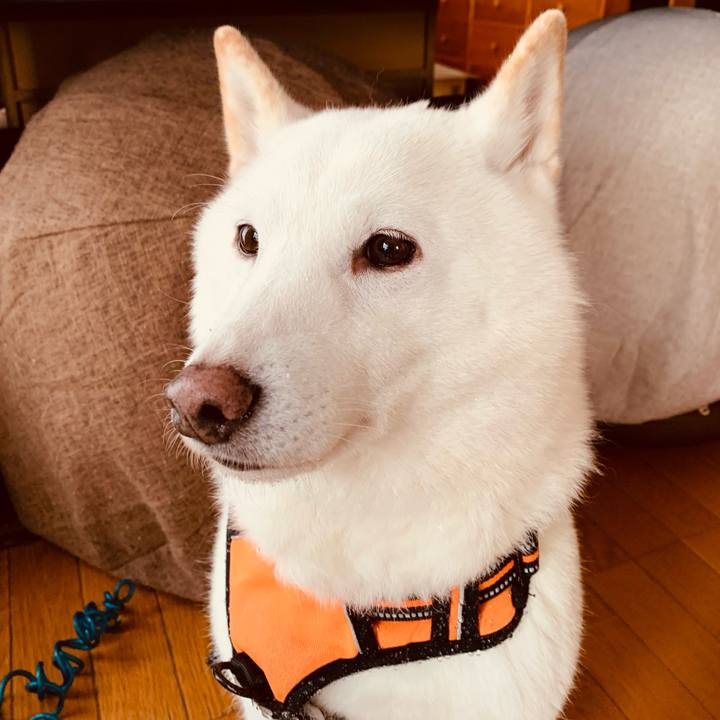 D5e64165 8e15 4c90 9832 e866678344da 1671143470136