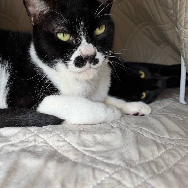 D5e6488b 442e 4507 a75f e53585ec99a3 1754803307431