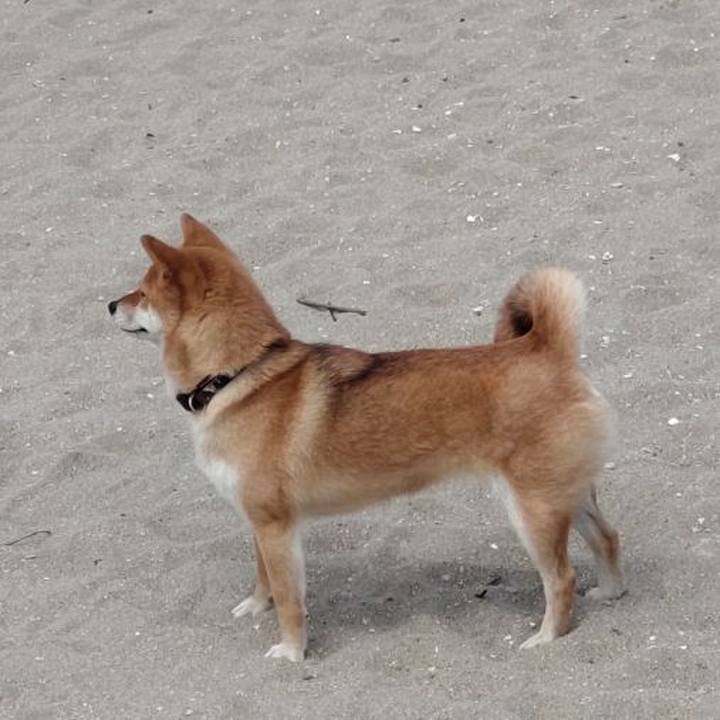 D5e6559f 7c3f 4b21 a5f4 d4376b832bbd 1758787292636