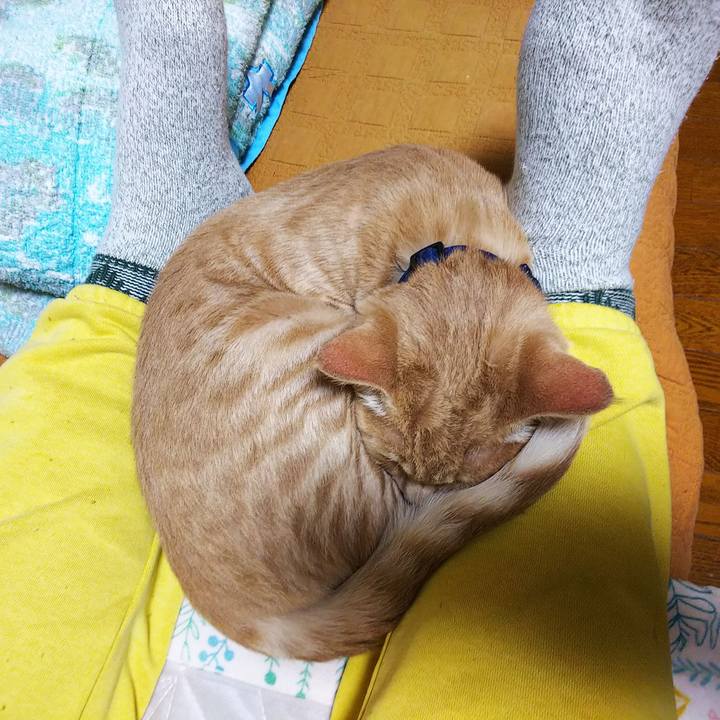 D5e65ab6 1490 4c15 907c 0574ee890a43 1548244737783