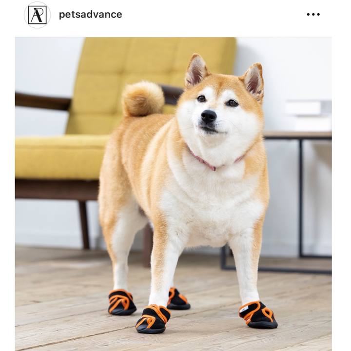 D5e68fc8 3173 4b98 a85c 536197442cde 1704285103124