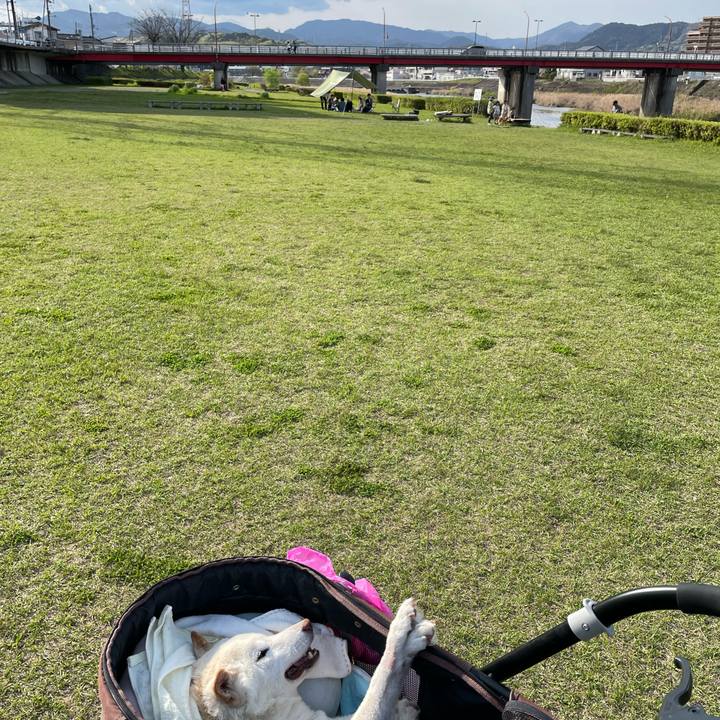 D5e69f5f 3deb 4032 a576 00cb881d9667 1680434194774