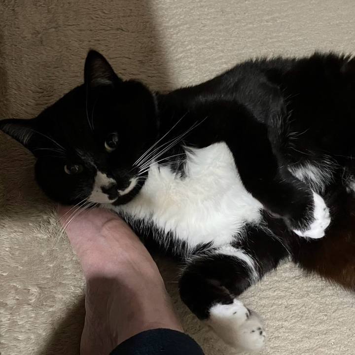 D5e6a26c 58c7 4076 a053 e7a846a4fa29 1710301445667