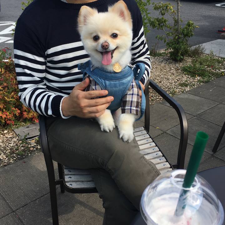 D5e6e17d 9f96 4a13 ab7f e565b2cc85fe 1555138166677