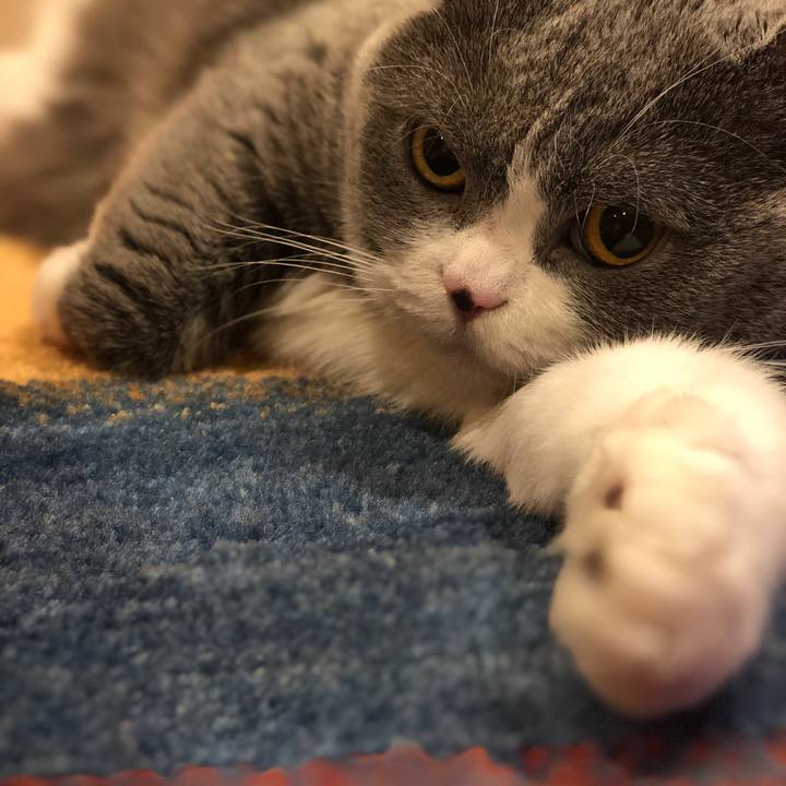 D5e6ec25 785c 40f7 8f2c 16cc82df663a 1513166959175