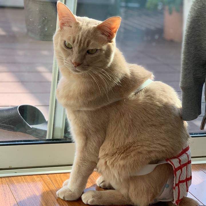 D5e7169c 5b22 4b88 aa79 9525f3e2edd8 1582501313961