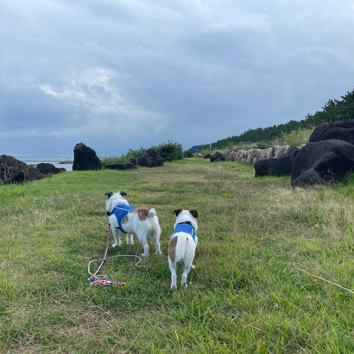 D5e74591 9a5a 4fcb a13c f7b149208087 1723331710606