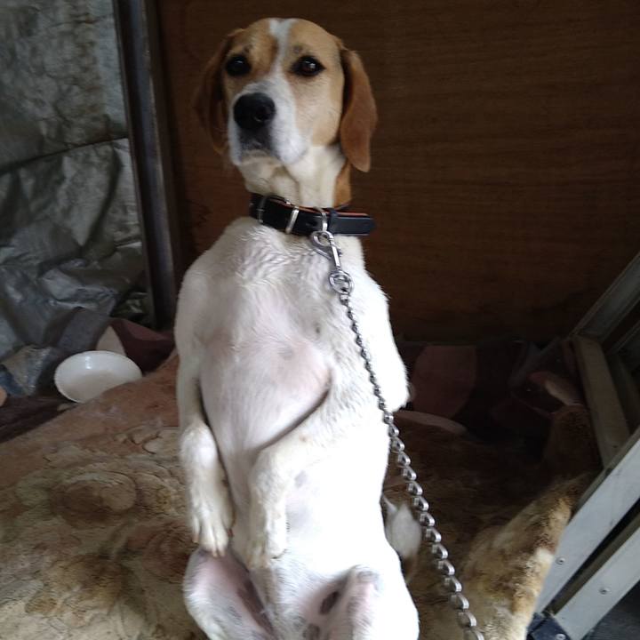 D5e750eb 1302 4c3a 8ade 8147e2fda31b 1655445617349