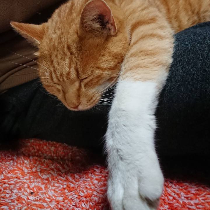 D5e75111 e22b 421f 973b 605d16dc922e 1576060381259