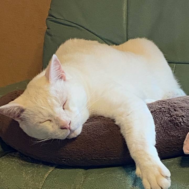 D5e76060 48d4 44ae ad3f ea3510a6e920 1633733577227