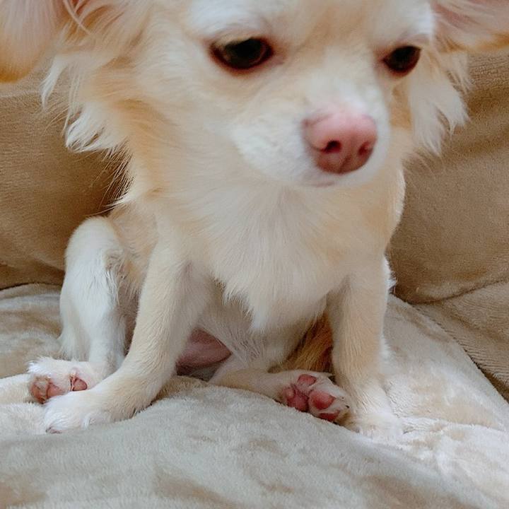 D5e79f15 03b4 4ed2 b7d6 ac680640859c 1612259101114