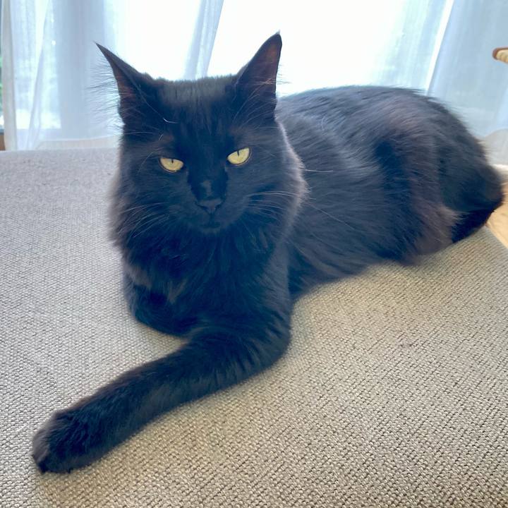 D5e7d6e5 27fa 4e5a 9e8d 71606d2bf19b 1749893915837