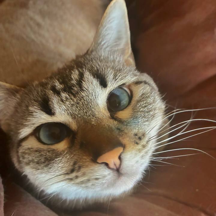 D5e7dd4e 5dfb 4c8f 86fa 48b2a7645e8a 1774078180652