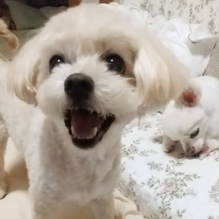 D5e7e789 ff33 40f6 bdd3 3bb3e8c6f707 1623756455126