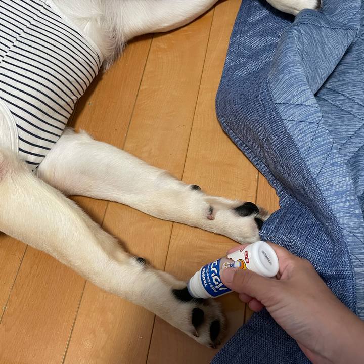 D5e7f785 b04b 4217 a6d0 79b610e6945b 1628155638292