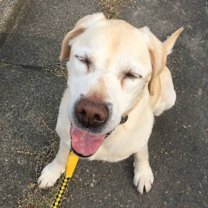 D5e81ef2 6e9f 46ef 89f7 96270c64414b 1522566620913