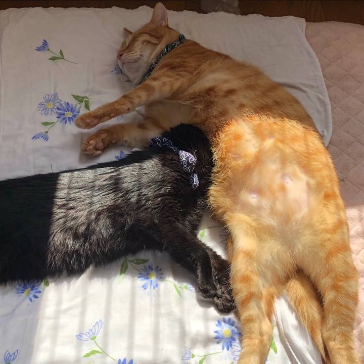 D5e8370e 6244 48d1 8568 3a465bc9de1f 1559432336441