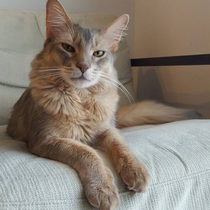 D5e89473 4ac9 4dc1 9eb6 d3429b8373f6 1526803469271