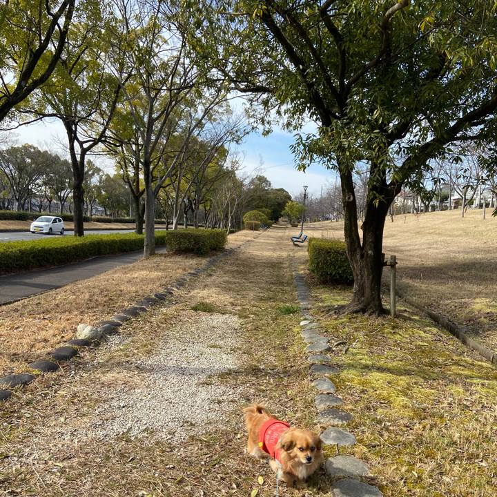 D5e8adb3 95f4 493a b903 fb61ffe79aba 1583544504876