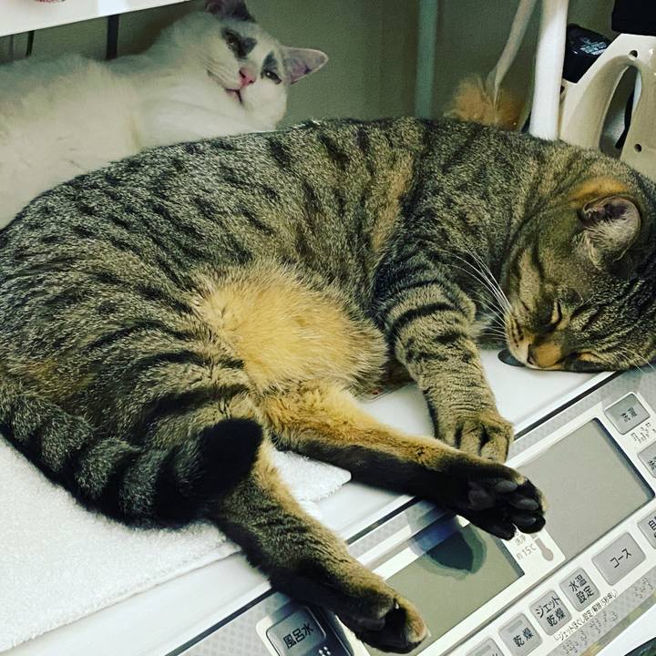 D5e8bbc4 e948 49c1 94d6 9b2004ea2b4a 1617586915781