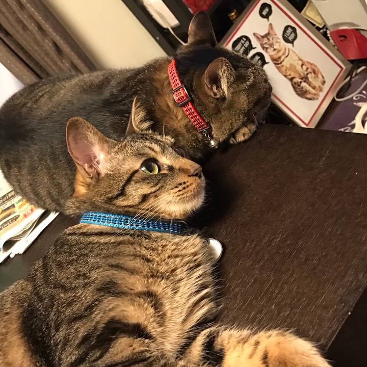 D5e8c00e 5ce1 4b3a 83b8 35b074d13f43 1642772748631