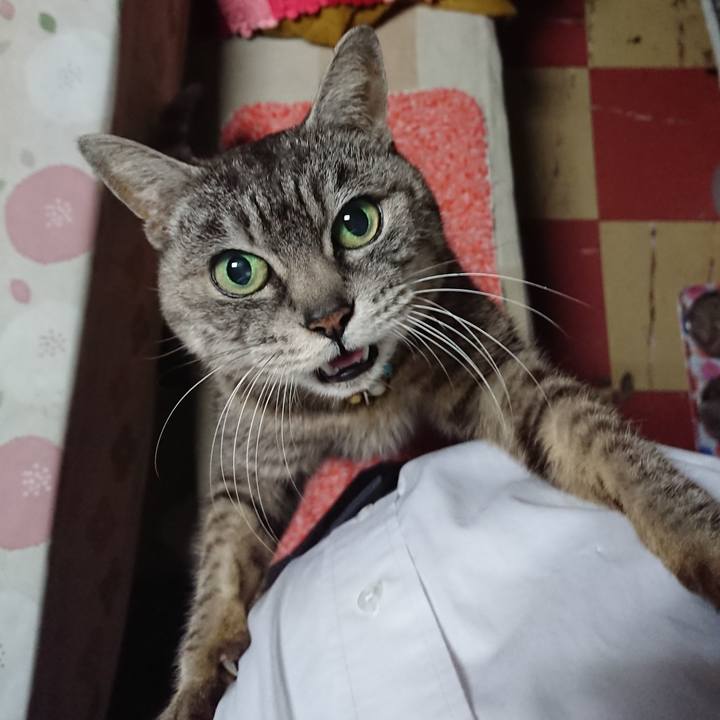 D5e8c9b2 2b6c 41c5 bcf6 25861dbc72be 1553248577662