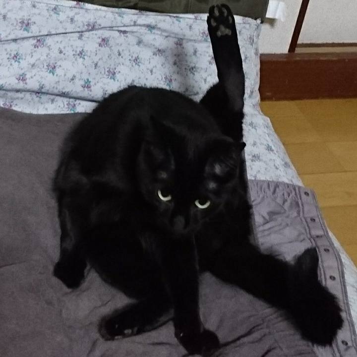 D5e8cfad 60ee 4411 b08c 1d137392aa66 1553255615823