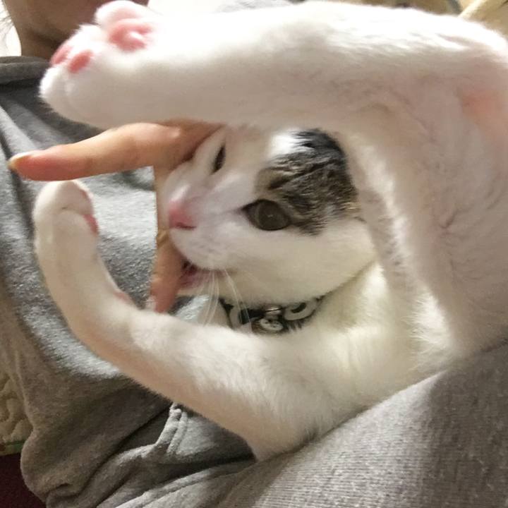 D5e90438 a57f 470b 9812 028fe8cf1c76 1510147674789