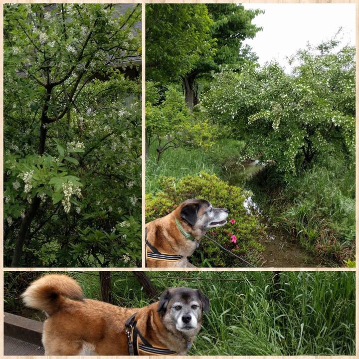 D5e91f35 19b7 4a34 a20d 5a99aca99b7e 1525744107528