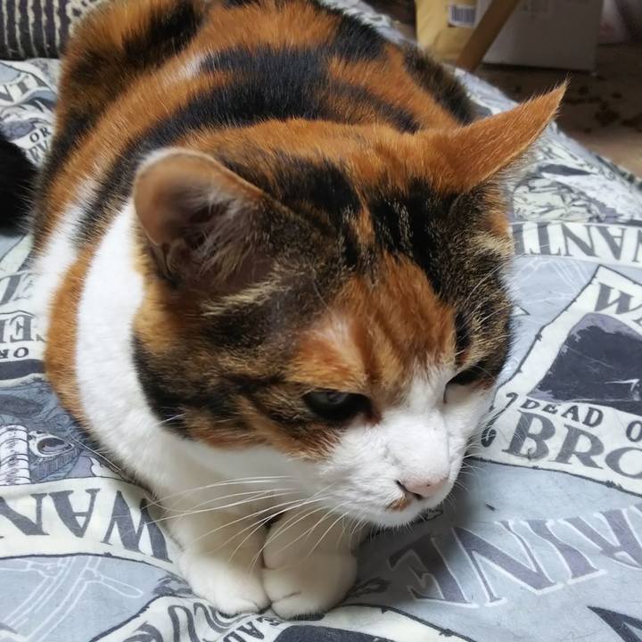 D5e933ae a59f 4dcd 892f cd48e18dd3d0 1568238470915