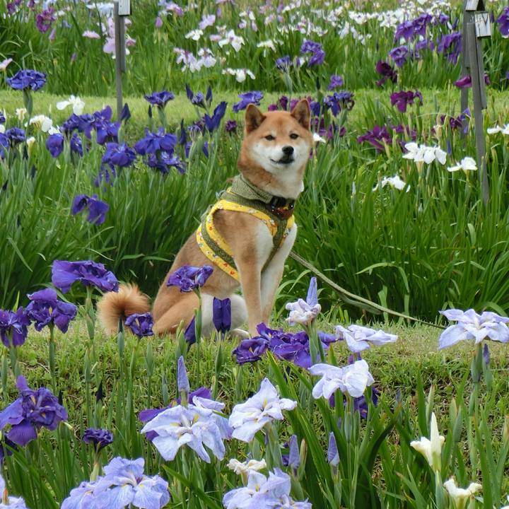 D5e94fea 3ba6 43f9 92f8 dc416bda037d 1529243186089