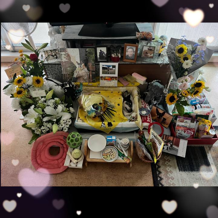 D5e95e2e ade1 4d74 9f46 9741d9735b62 1659602194835